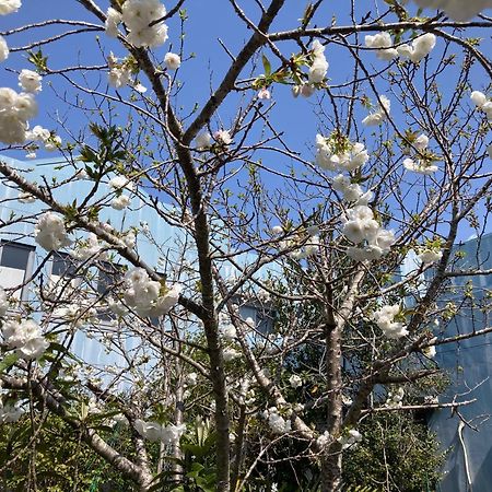 Narita Airport Samurai Hostel Kujukuri Екстер'єр фото